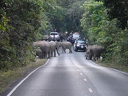 Hin Tung, Mueang Nakhon Nayok District, Nakhon Nayok 26000, Thailand - panoramio (11)
